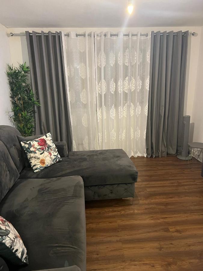 Accu Care Apartment 伦敦 外观 照片